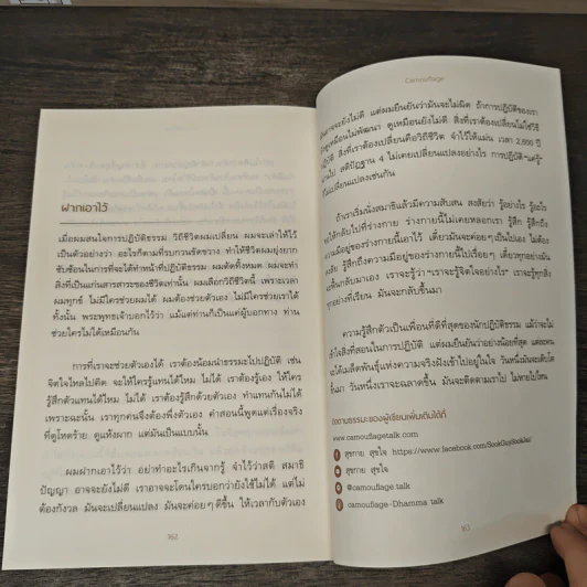 ความสงบท่ามกลางความเคลื่อนไหว - Camouflage รูปที่ 11