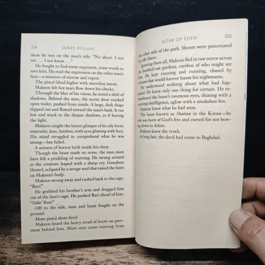 Excavation - James Rollins รูปที่ 8