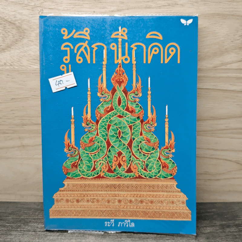 รู้สึกนึกคิด - ระวี ภาวิไล รูปที่ 1