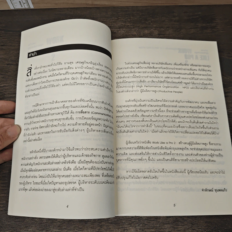 Work like a pro 2 สร้างตนสู่ผู้มีผลิตภาพสูง - จำลักษณ์ ขุนพลแก้ว รูปที่ 7