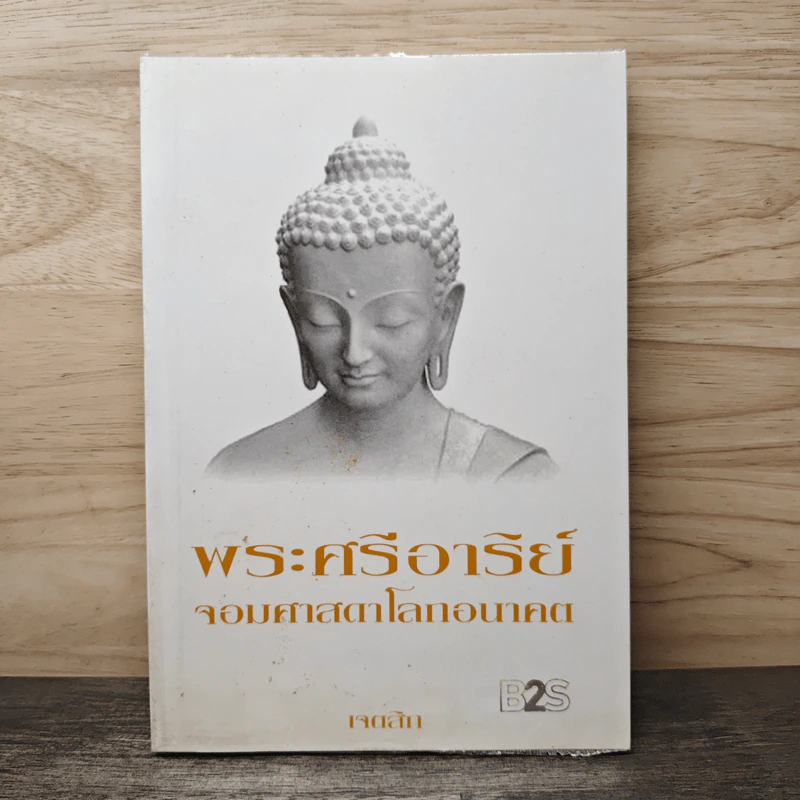 พระศรีอาริย์ จอมศาสดาโลกอนาคต - เจตสิก รูปที่ 1