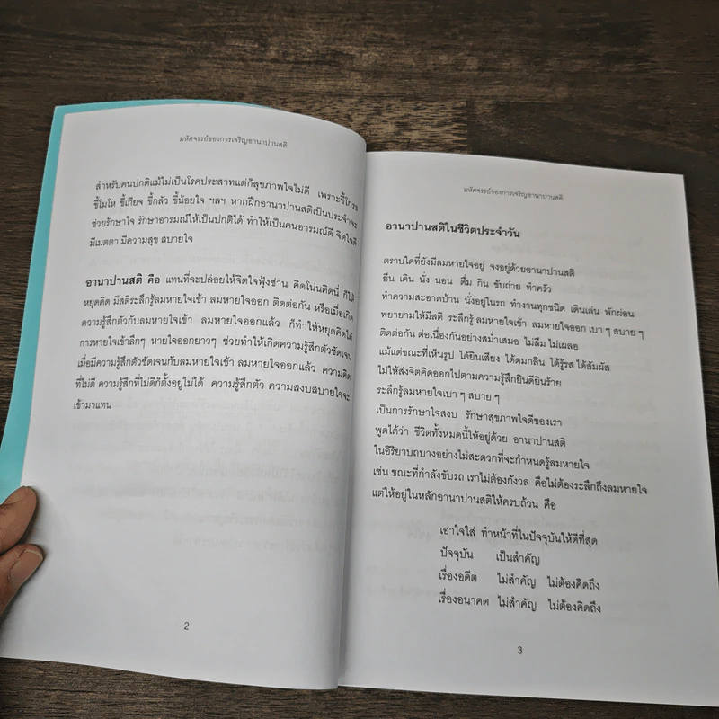 สติเป็นธรรมเอก - พระอาจารย์มิตซูโอะ คเวสโก รูปที่ 7