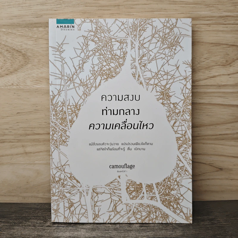 ความสงบท่ามกลางความเคลื่อนไหว - Camouflage รูปที่ 1
