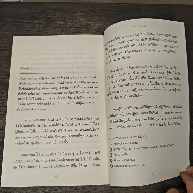 ความสงบท่ามกลางความเคลื่อนไหว - Camouflage รูปที่ 11