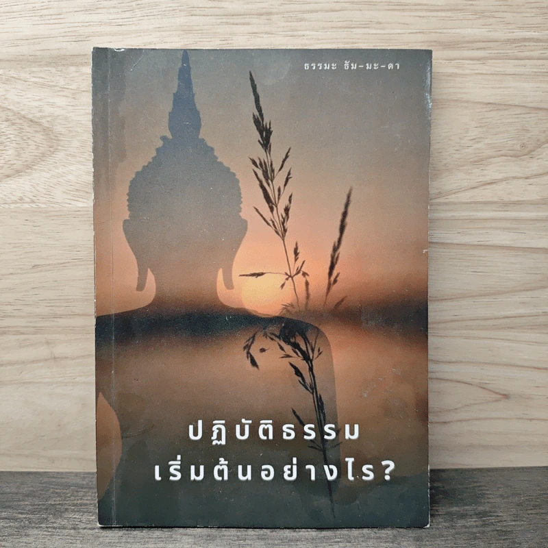 ปฏิบัติธรรม เริ่มต้นอย่างไร? รูปที่ 1