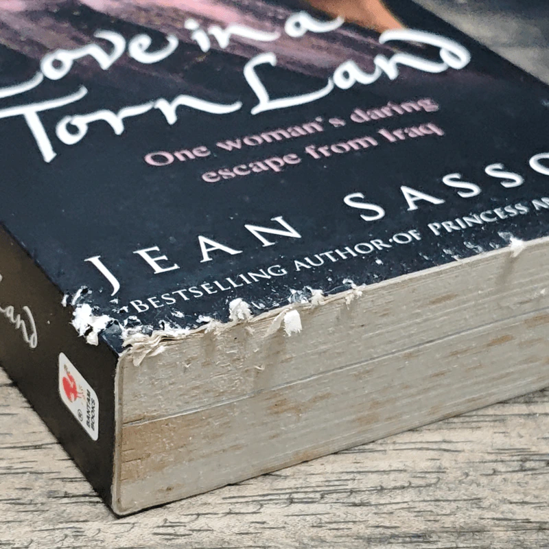Love in a Torn Land - Jean Sasson รูปที่ 4