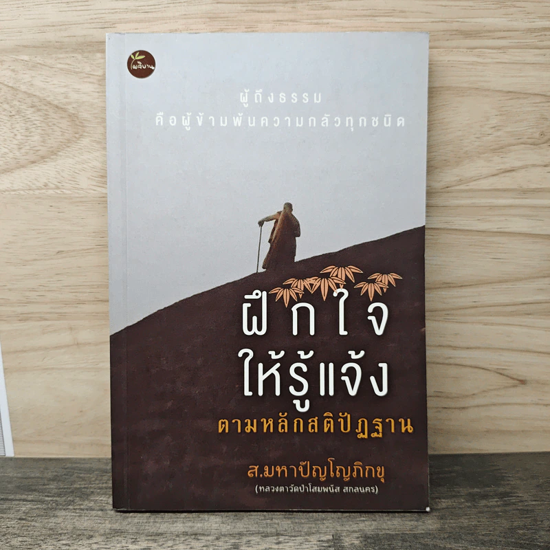 ฝึกใจให้รู้แจ้ง ตามหลักสติปัฏฐาน - ส.มหาปัญโญภิกขุ รูปที่ 1