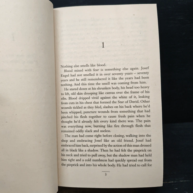 The Boy Who Saw - Simon Toyne รูปที่ 7