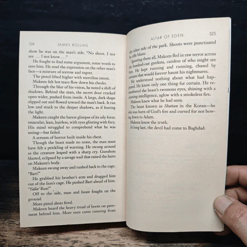 Excavation - James Rollins รูปที่ 8