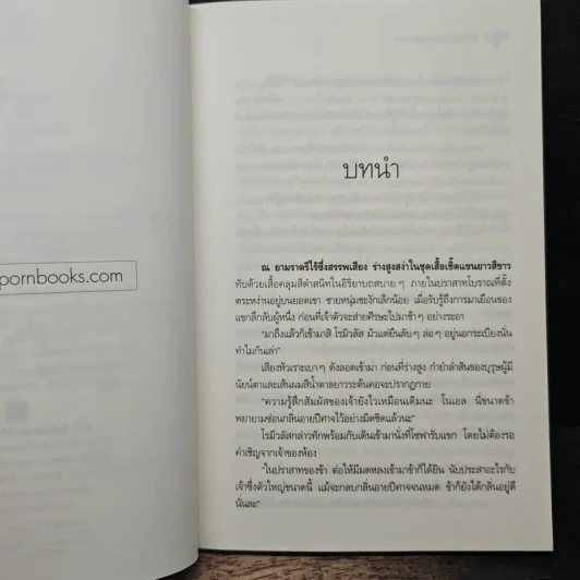 สะดุดรักปีศาจแสนกล - ปัทม์ รูปที่ 7