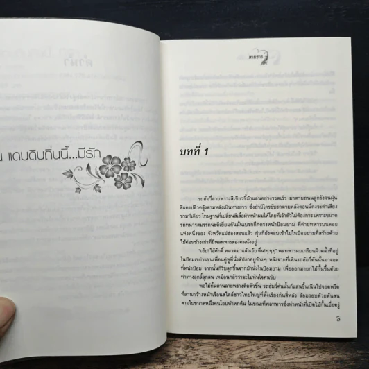 ณ แดนดินถิ่นนี้...มีรัก - สายธาร รูปที่ 6