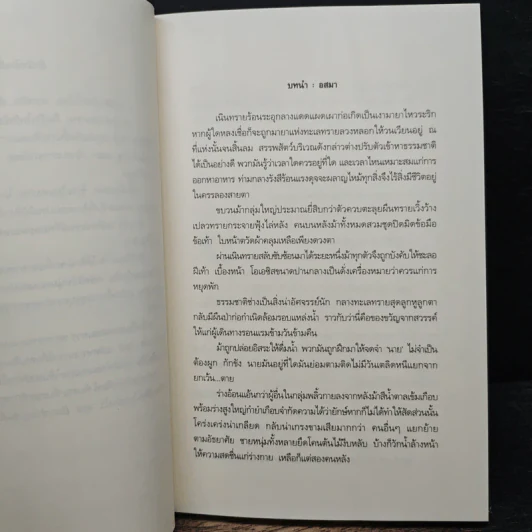 บุหงาแห่งผืนทราย - ปรุฬห์ รูปที่ 7