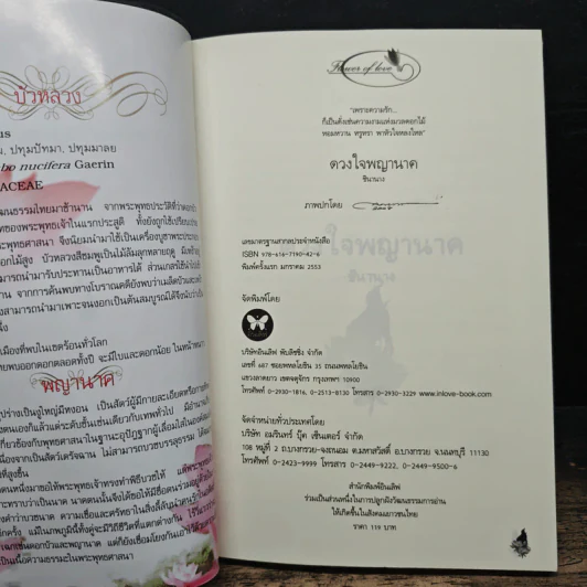 ดวงใจพญานาค - ชินานาง รูปที่ 6