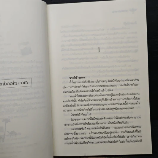 จ้าวทะเลทราย - ออโรร่าห์ รูปที่ 7