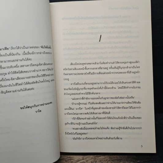 ข้ามฟ้าร้อยใจนายมาเฟีย - วาโย รูปที่ 7