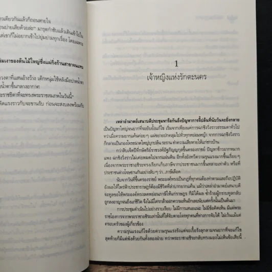 ดวงใจปฏิพัทธ์ - สะมะเรีย รูปที่ 8