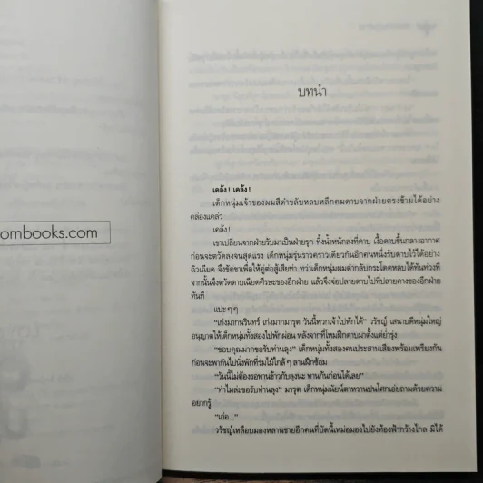 ดวงใจปฏิพัทธ์ - สะมะเรีย รูปที่ 7