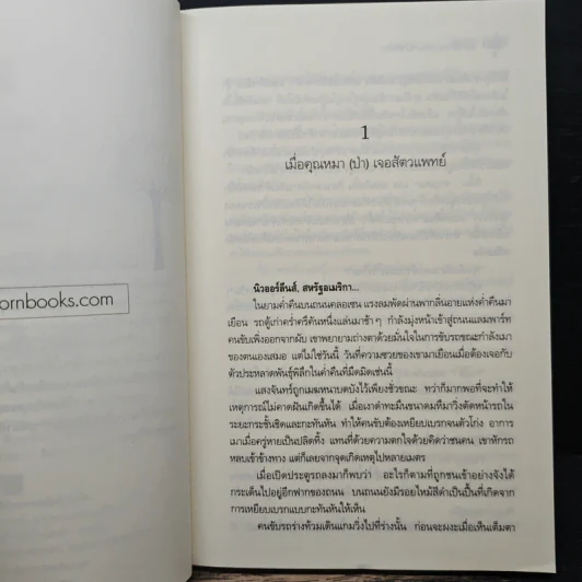 เล่ห์รักคุณหมาป่าสีเงิน - ไอศิยา รูปที่ 7