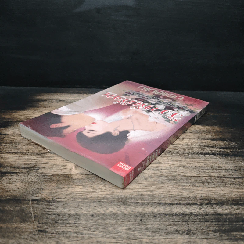 วิวาห์เถื่อน - ยอแสงแข รูปที่ 5