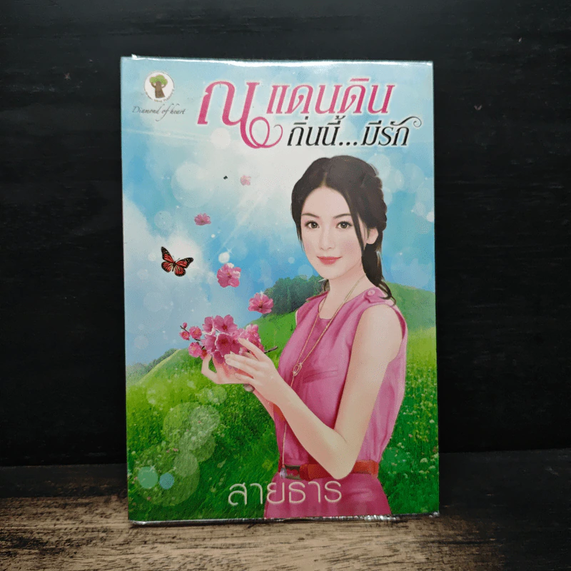 ณ แดนดินถิ่นนี้...มีรัก - สายธาร รูปที่ 1