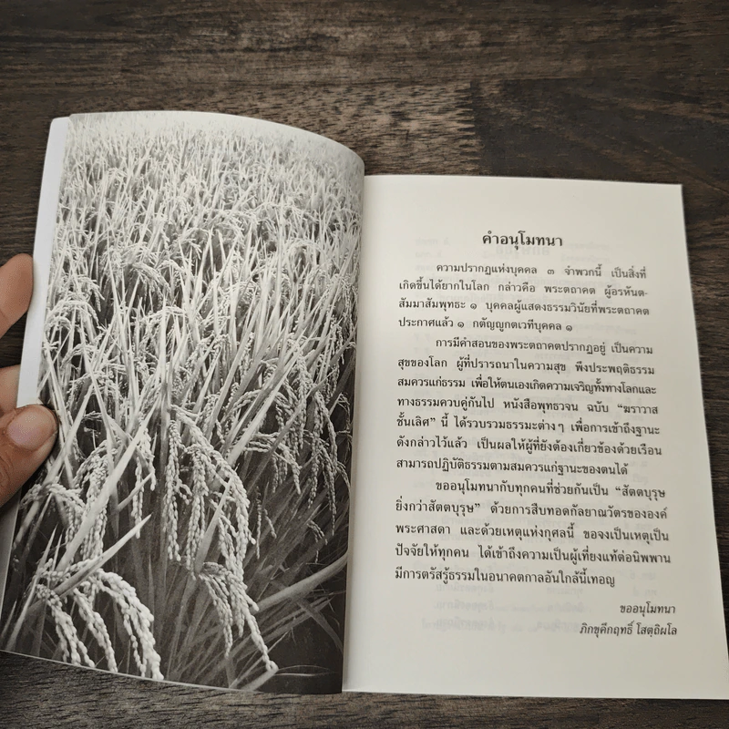 พุทธวจน ฆราวาสชั้นเลิศ รูปที่ 7