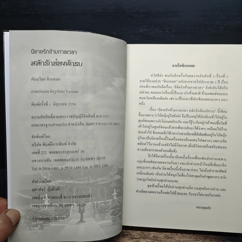 นิยายรักข้ามกาลเวลา สลักรักอ๋องนักรบ - ชินเหมย รูปที่ 6