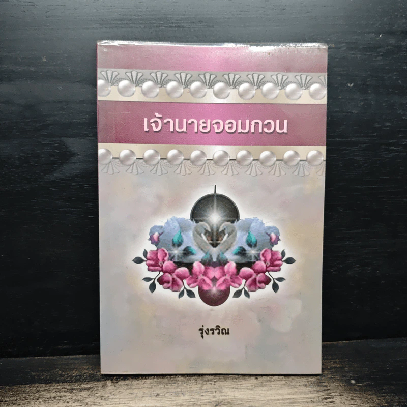 เจ้านายจอมกวน - รุ่งรวิณ รูปที่ 1