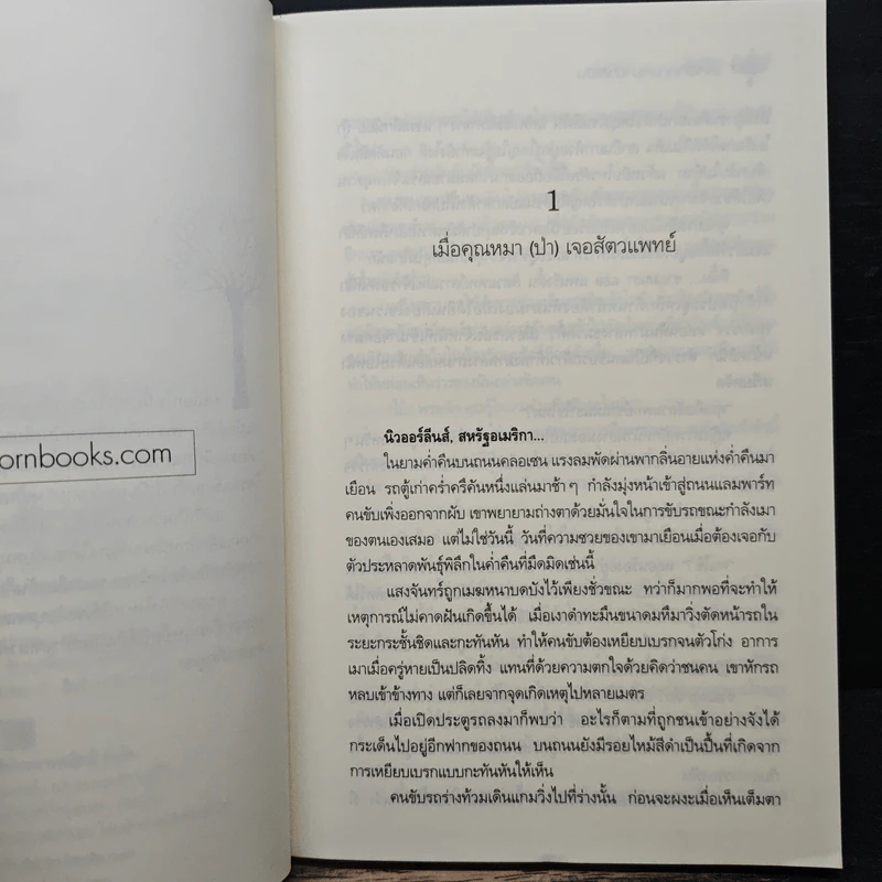เล่ห์รักคุณหมาป่าสีเงิน - ไอศิยา รูปที่ 7