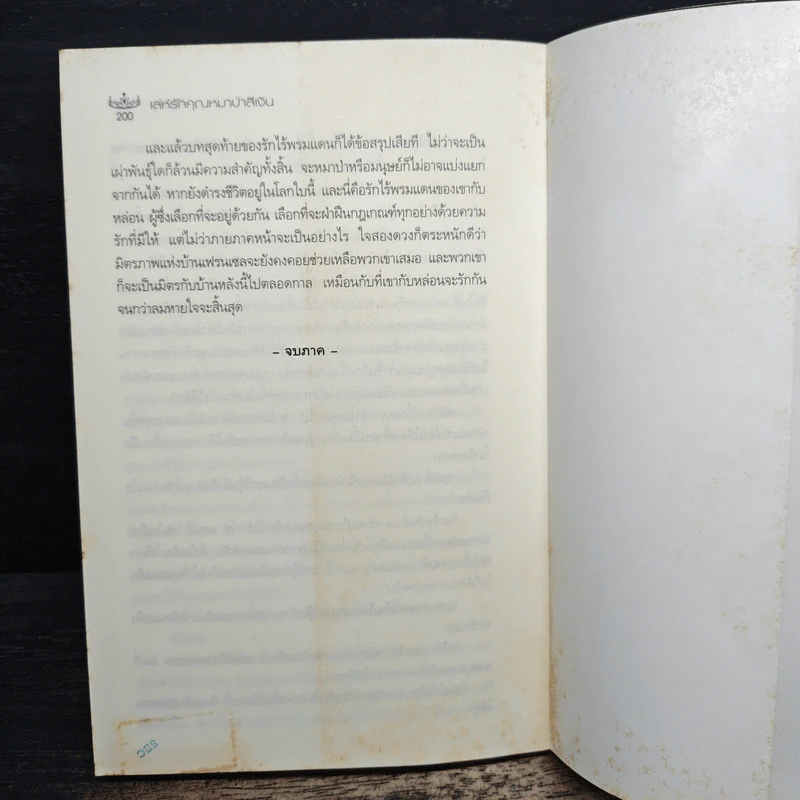 เล่ห์รักคุณหมาป่าสีเงิน - ไอศิยา รูปที่ 8