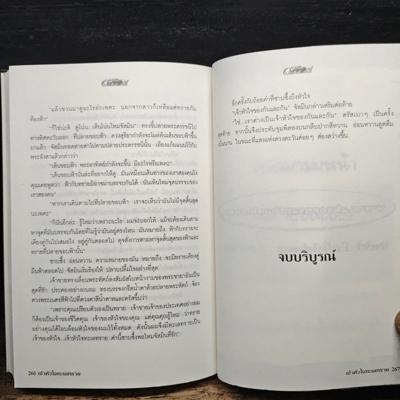 เจ้าหัวใจทะเลทราย - พาสเวิร์ด รูปที่ 9