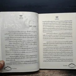 น้ำตาลใกล้มด - พันชิตา รูปที่ 7