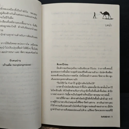 คิมหันต์มายา - เก้าแต้ม รูปที่ 7