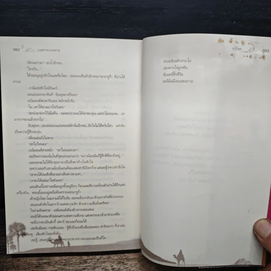 มนตราทะเลทราย - อาริตา รูปที่ 8