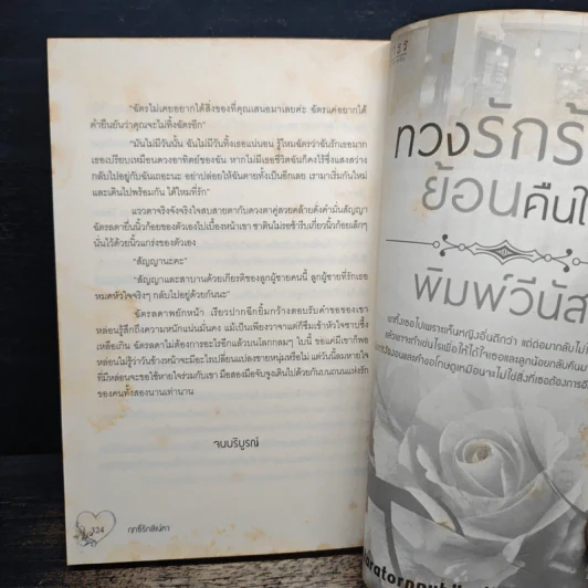 ฤทธิ์รักสิเน่หา - พิศตะวัน รูปที่ 8
