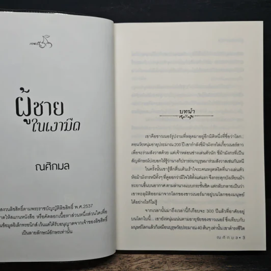ผู้ชายในเงามืด - ณศิกมล รูปที่ 6