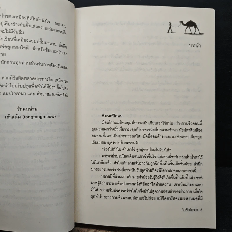 คิมหันต์มายา - เก้าแต้ม รูปที่ 7