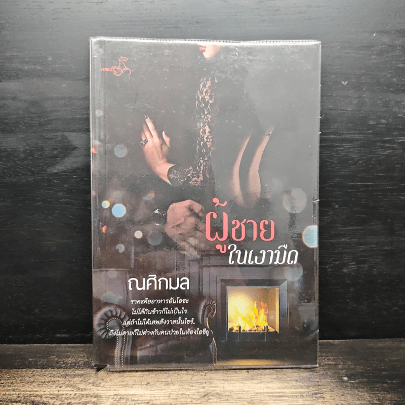 ผู้ชายในเงามืด - ณศิกมล รูปที่ 1