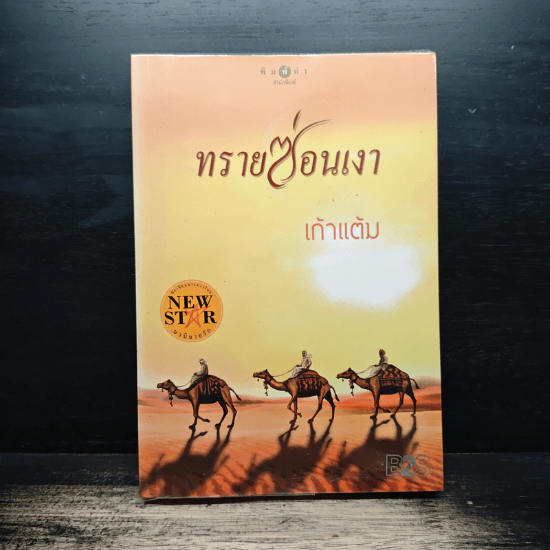 ทรายซ่อนเงา - เก้าแต้ม รูปที่ 1