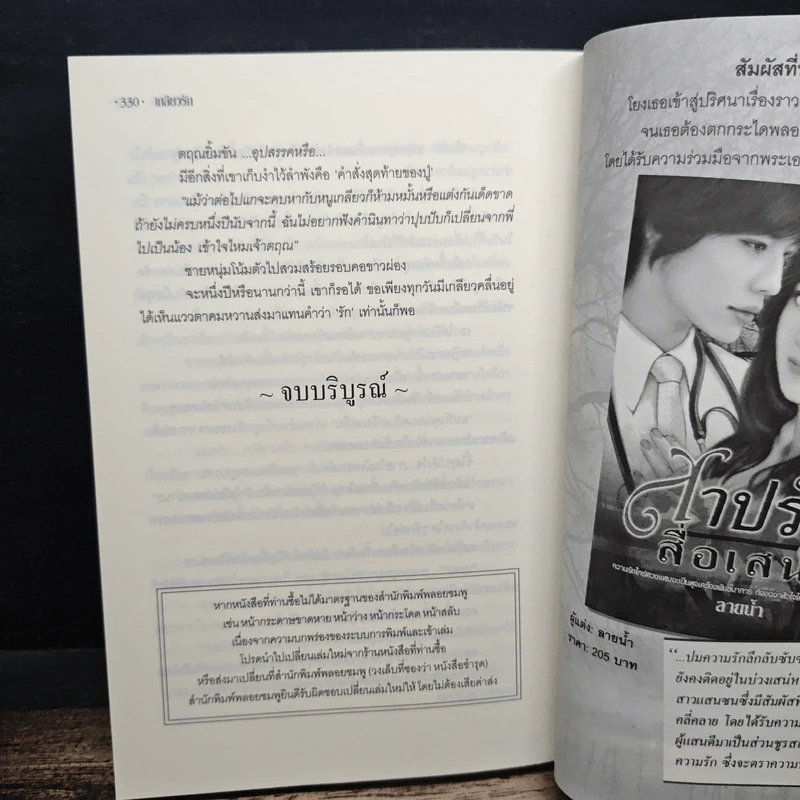 เกลียวรัก - ทัชมาฮาล รูปที่ 8