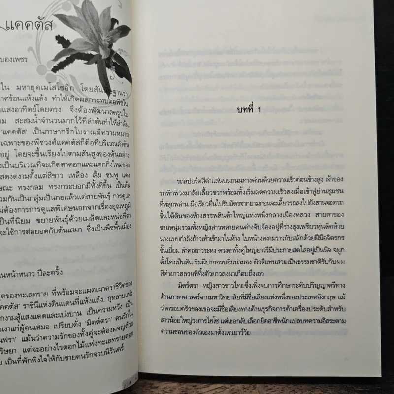 ไอยคุปต์ มนตราแห่งรัก - ปภาวรินทร์ รูปที่ 7