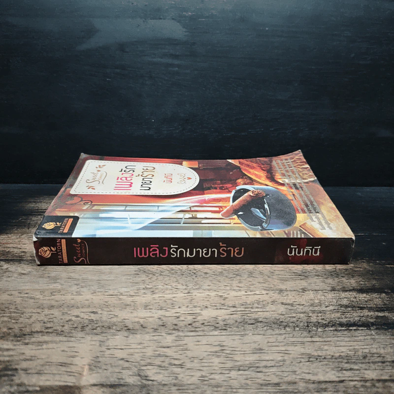 เพลิงรักมายาร้าย - นันทินี รูปที่ 3