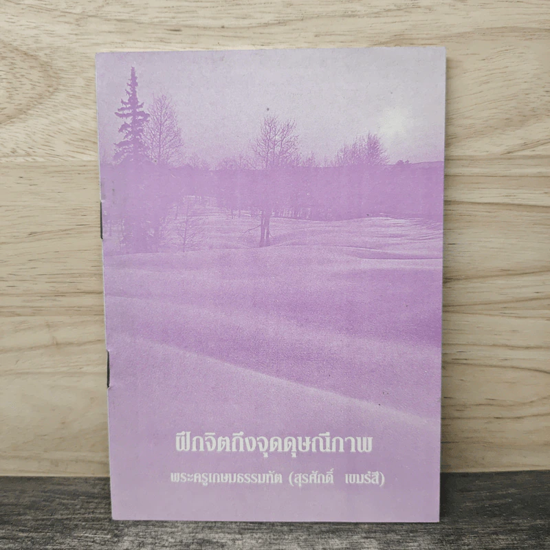 ฝึกจิตถึงจุดดุษณีภาพ - พระครูเกษมธรรมทัต (สุรศักดิ์ เขมรสี) รูปที่ 1