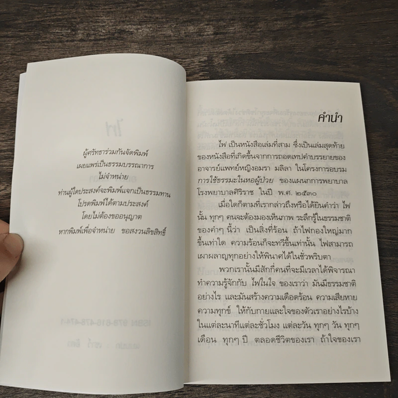 ไฟ - อมรา มลิลา รูปที่ 6