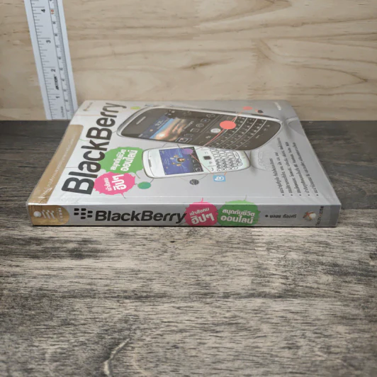 BlackBerry เข้าสังคมฮิปๆ สนุกกับชีวิตออนไลน์ - พลอย เรืองศรี รูปที่ 2