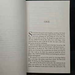 The Boy - Tami Hoag รูปที่ 7