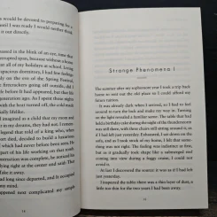 Ball Lightning - Cixin Liu รูปที่ 8