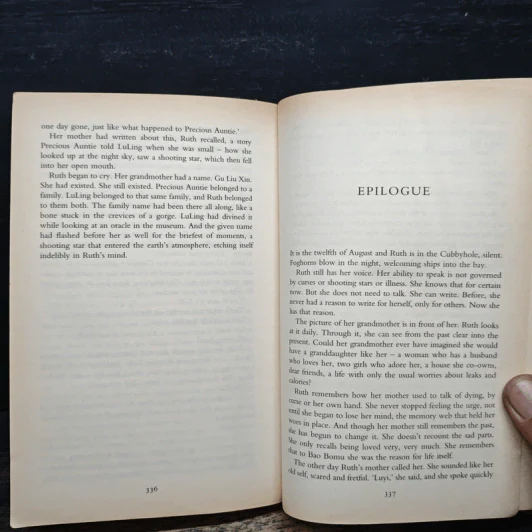 The Bonesetter's Daughter - Amy Tan รูปที่ 8