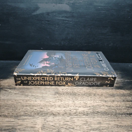 The Unexpected Return of Josephine Fox - Claire Gradidge รูปที่ 3