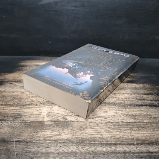 The Unexpected Return of Josephine Fox - Claire Gradidge รูปที่ 5