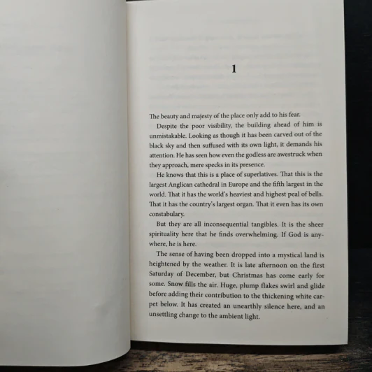 Hope to Die - David Jackson รูปที่ 7